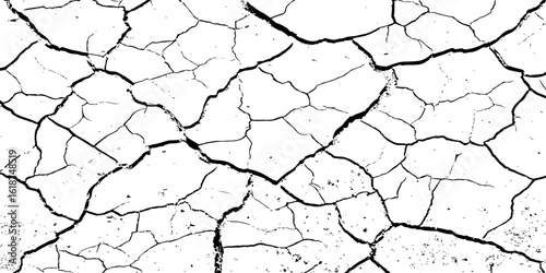 A high-contrast, black and white texture overlay of extensively cracked and distressed dry ground, featuring jagged, organic fissures and subtle granular details against a stark white background.
