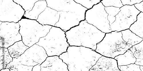 A high-contrast, black and white texture overlay of extensively cracked and distressed dry ground, featuring jagged, organic fissures and subtle granular details against a stark white background.