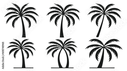 Clean vector silhouettes of tropical palm trees: six variations, simple, elegant, and minimalist design for summer vacation themes.
