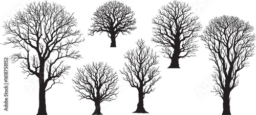 silhouette bare trees set on white background. spooky, scary, horror, bare tree vector