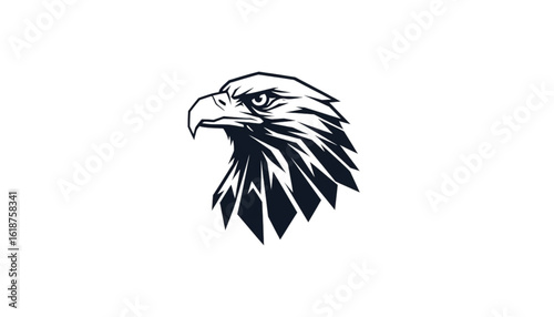 A striking black and white illustration of an eagle's head, focused and intense.