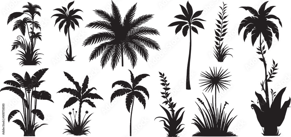 Fototapeta premium silhouette different type of palm tree vector set