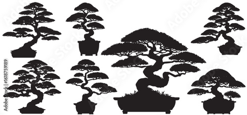 Set of bonsai trees black silhouette, vector illustration.