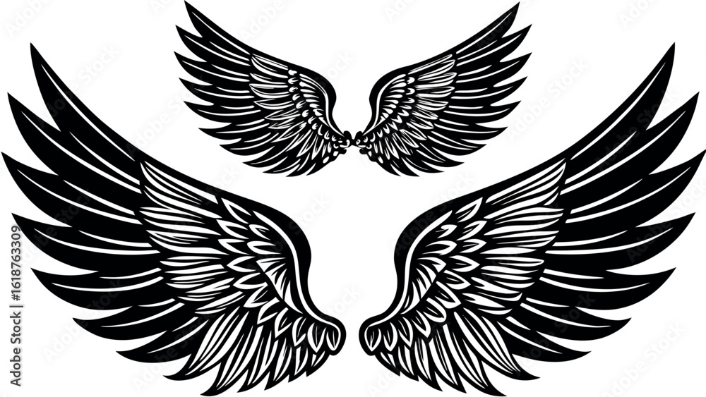 Fototapeta premium Black feathered wings collection spread open detailed graphic design white feathers