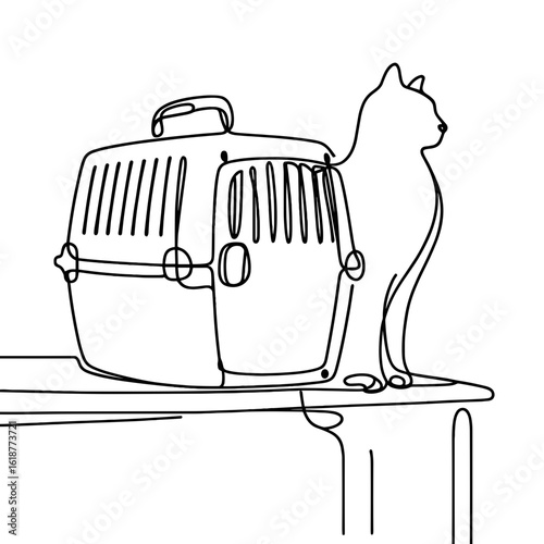 Cat sitting on table next to carrier