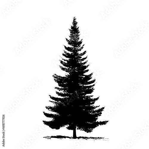 A monochrome silhouette of a majestic evergreen tree against a pristine background.