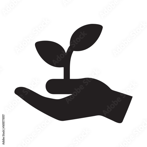 Hand Nurturing a Seedling