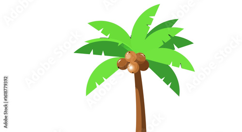 coconut palm tree