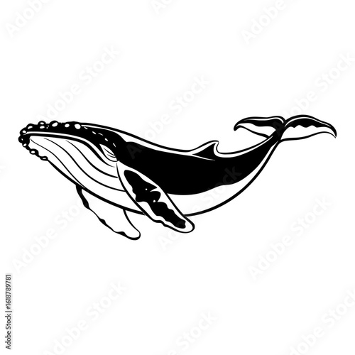 Cartoon whale Vector illustration