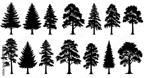Silhouettes of various pine and deciduous trees in black  