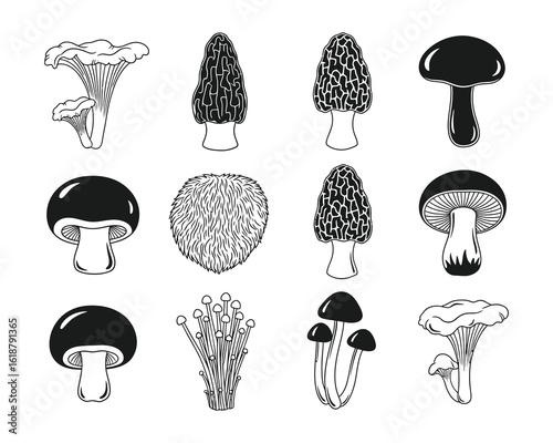 Collection of hand drawn mushroom illustrations in black and white