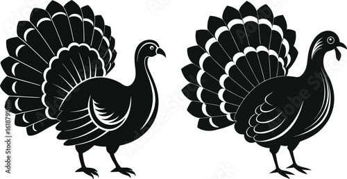 Two Stylized Turkey Illustrations for Thanksgiving Celebrations and Fall Holiday Themes Perfect for Graphic Design Projects and Vector Art Applications