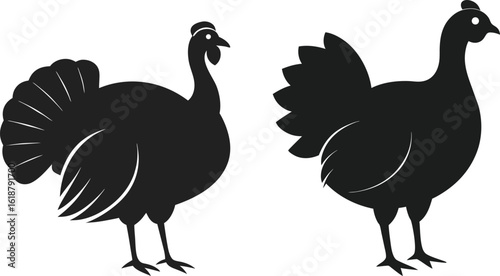 Two Turkey Silhouettes Perfect for Thanksgiving Designs and Autumn Decorations Celebrating the Harvest Season with Family and Friends