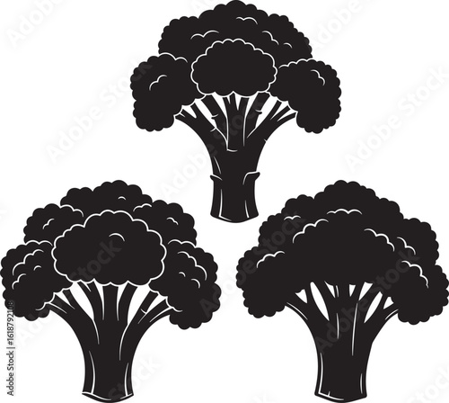 Three broccoli florets silhouette