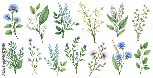 Fototapeta Naklejka Na Ścianę i Meble -  Watercolor Floral Bouquet Collection with Blue and Purple Flowers on transparent background