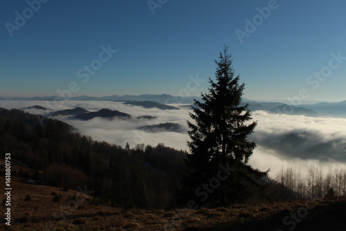 Foggy mountain landscape