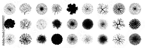 Collection of thirty-six black and white treetop illustrations. Vector set of round, textured, and bare treetop silhouettes for architectural drawings, landscaping plans, or map design. Top-down view.
