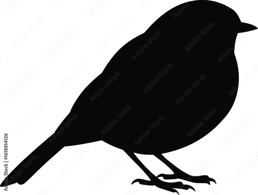 Obraz premium Vector Illustration of Robin Bird Silhouette in Nature