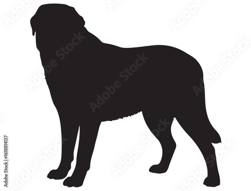 ANATOLIAN SHEPHERD DOG SILHOUETTE