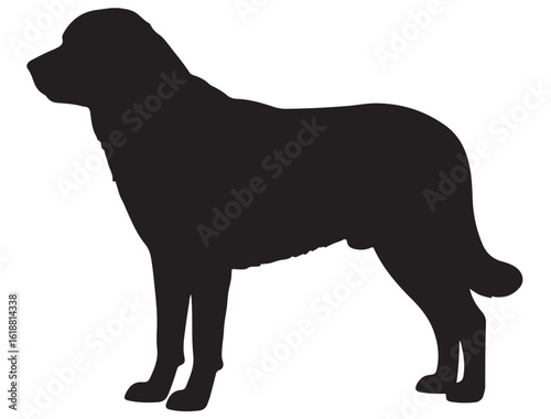ANATOLIAN SHEPHERD DOG SILHOUETTE