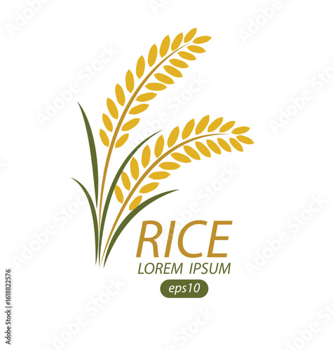 Rice. Logo design template vector illustration.