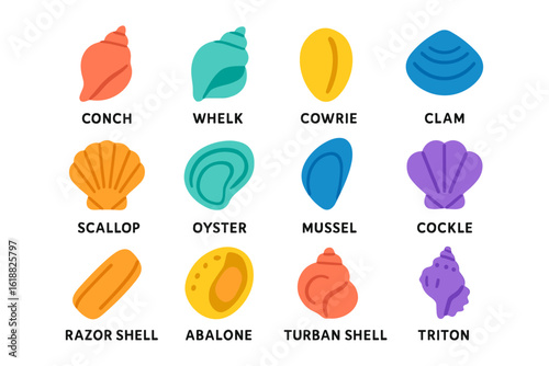 Colorful seashell icons set with labels for marine collections and beach themes