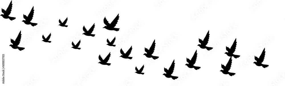 Obraz premium Adobe Illustrator Artwork