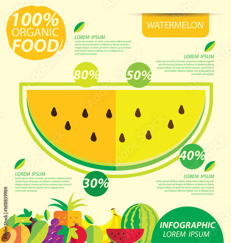 Watermelon. Infographic template. vector illustration.