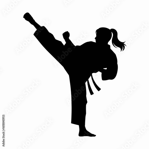 Martial Arts Kick Silhouette in Action Pose