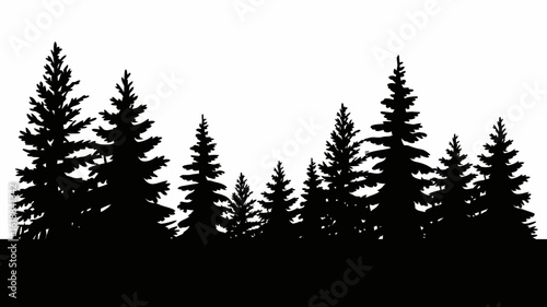 Silhouette of Pine Trees Against White Background