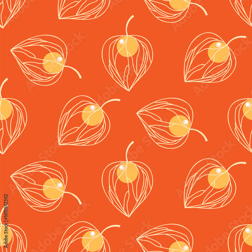 Seamless pattern of Autumn physalis on isolated background. Hand drawn background for Autumn harvest holiday, Thanksgiving, Halloween, seasonal, textile, scrap booking.
