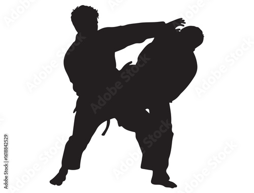BRAZILIAN JIU JITSU SILHOUETTE