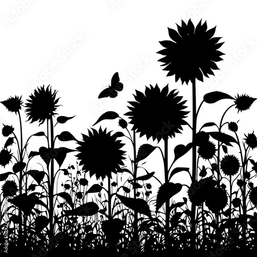 Vector silhouette of a summer field of sunflowers facing the sunrise under a clear sky