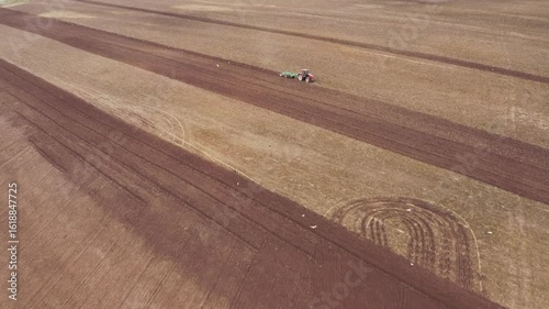 A tractor with a grain seeder is working in the field. Birds are flying around. Aerial shot from drone