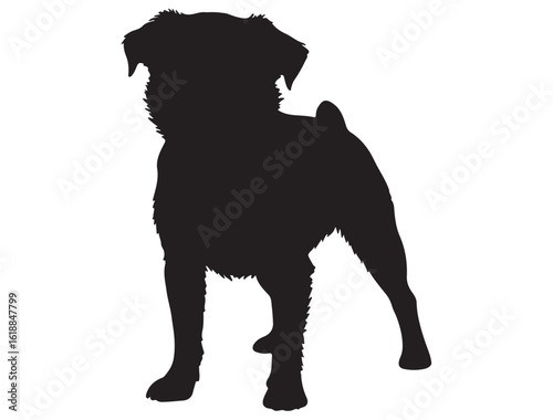 BRUSSELS GRIFFON DOG SILHOUETTE