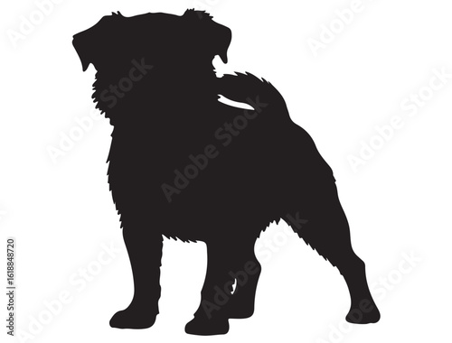 BRUSSELS GRIFFON DOG SILHOUETTE