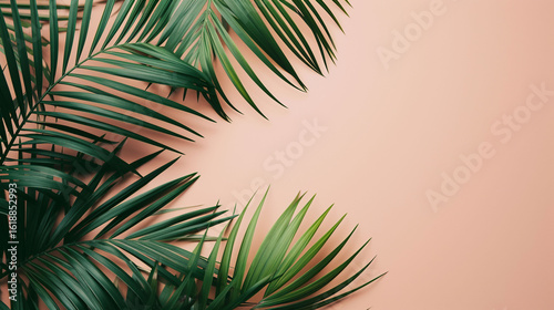 Palm branches in a stylish flat background
