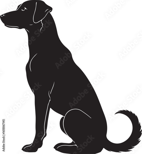Dog sitting silhouette
