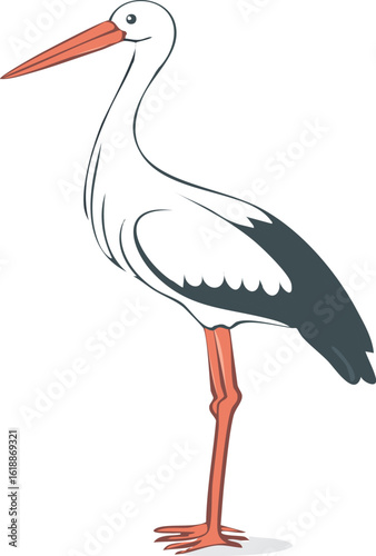 White Stork Vector - Graceful Waterbird, Nature Illustration, Birdwatching Art, Ornithology Design