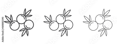 Juniper icon - editable stroke vector illustration