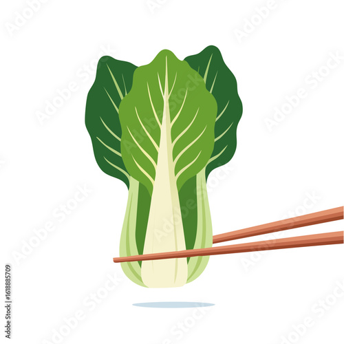 Fresh bok choy being held by chopsticks, a minimalist presentation. The bok choy is fresh and vibrant. The chopstick are made of bamboo. The image evokes a sense of healthy eating