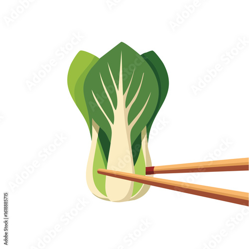 Fresh Bok Choy held delicately with chopsticks. A healthy, fresh ingredient ready to eat