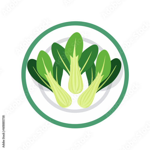 Fresh bok choy arranged on a plate