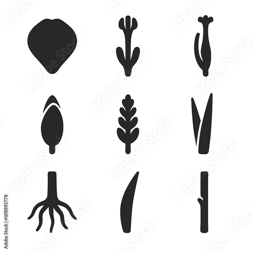 Gladiolus Flower Icons. Solid, filled icon set of gladiolus flower parts: petal, stamen, pistil, bud, spike, sheath, foliage blade