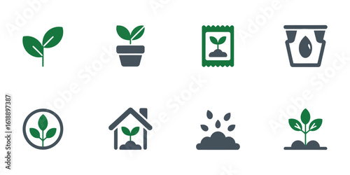 Green sprouts growing in pots and soil plant seedling