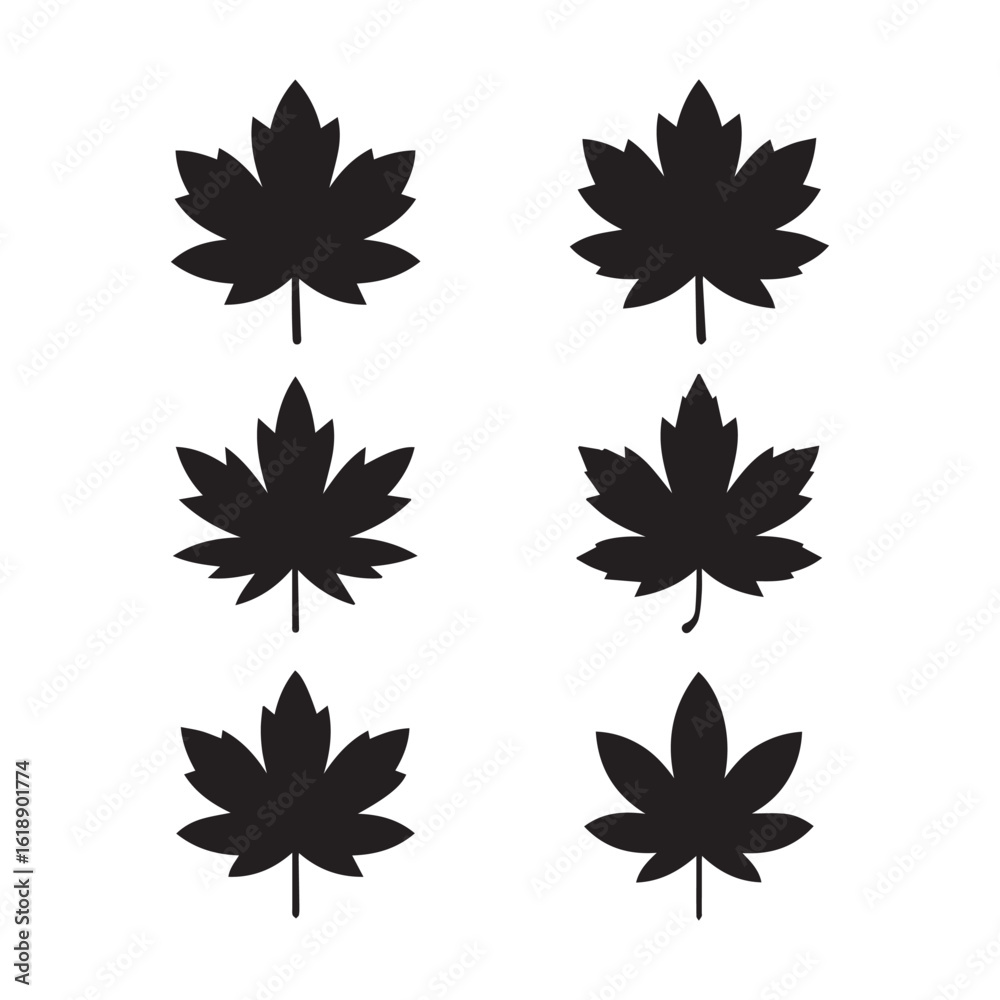 Fototapeta premium Maple Leaf Silhouettes Set on White Background – Black Botanical Icons
