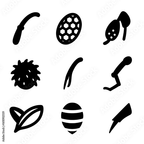 Bee Anatomy Icons. Solid, filled icons set of bee anatomy for pollination: antenna, compound eye,