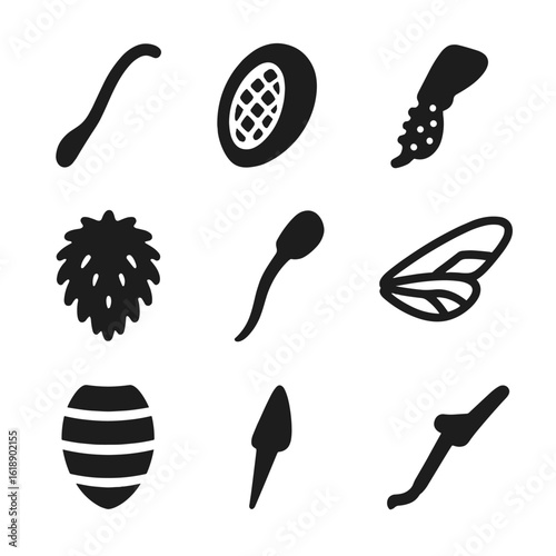 Bee Anatomy Icons. Solid, filled icons set of bee anatomy for pollination: antenna, compound eye,