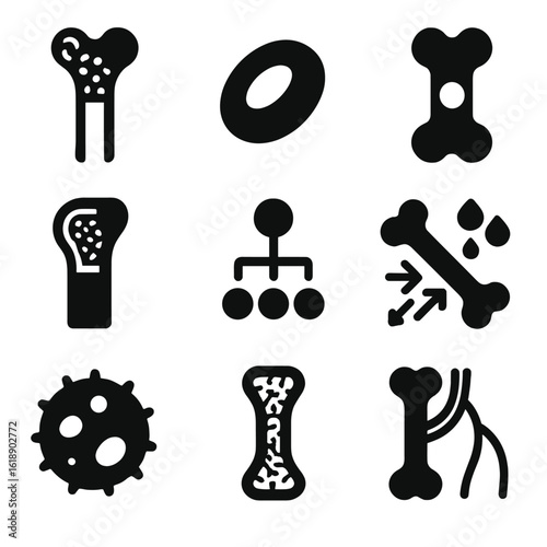 Bone Marrow Icons. Solid, filled icons set of bone marrow and blood production: marrow icon, red blood cell,