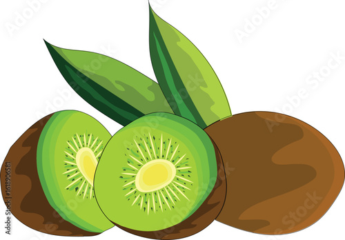 Fresh Kiwi Fruit Vector Illustration. eps